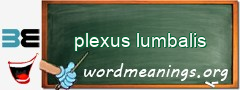 WordMeaning blackboard for plexus lumbalis